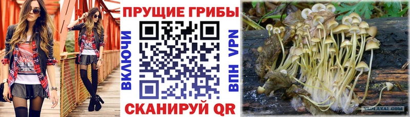 Галлюциногенные грибы прущие грибы  гидра ссылка  Озёрск 