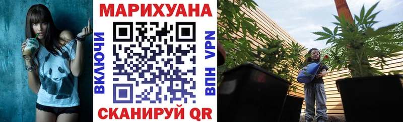 Канабис Amnesia  где купить наркоту  mega ССЫЛКА  Озёрск 